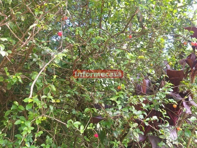 Imagem 4: Terreno à venda em Nova Iguaçu-RJ, Cidade Jardim Parque Estoril, 450m² de área!