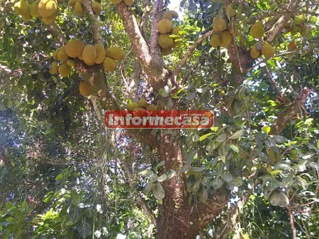 Imagem 9: Terreno à venda em Nova Iguaçu-RJ, Cidade Jardim Parque Estoril, 450m² de área!