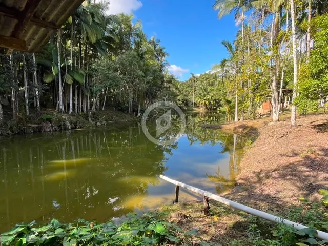 Imagem 12: Chácara à venda no bairro Barro Branco - Guaramirim/SC