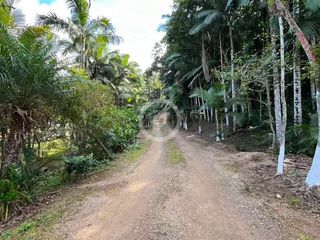 Imagem 13: Chácara à venda no bairro Barro Branco - Guaramirim/SC