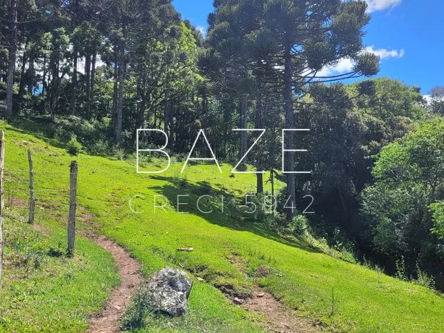 Imagem 7: CHACARA RURAL em CAMPO ALEGRE - SC, Campestre