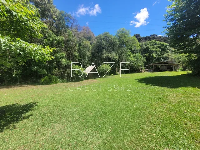 Imagem 3: CHACARA RURAL em CAMPO ALEGRE - SC, Campestre