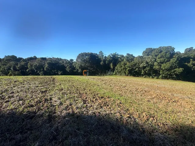 Imagem 4: TERRENO RURAL AO LADO DO CENTRO