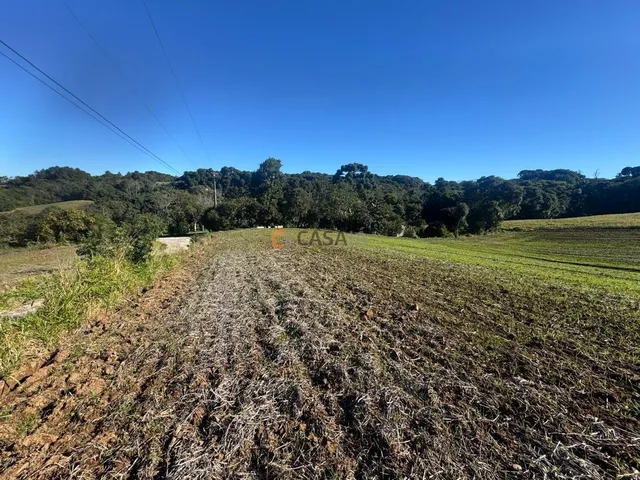 Imagem 5: TERRENO RURAL AO LADO DO CENTRO