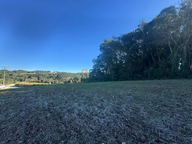 Imagem 12: TERRENO RURAL AO LADO DO CENTRO