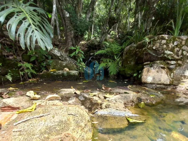 Imagem 9: Duas Casas em Amplo Terreno, com Bela Vista p/ Mar, a 900 m da Praia da Gamboa, Gamboa