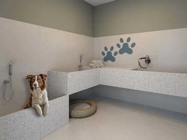 Imagem 12: Apartamento à venda em Rio de Janeiro, Centro, com 2 quartos, 43,19m²
