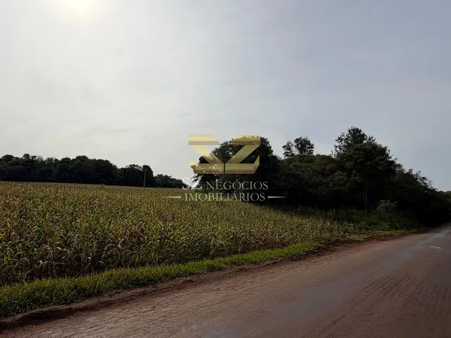 Imagem 4: ÁREA DE 36.000,00M² À VENDA PROLONGAMENTO DA AV. FELIPE WANDSCHEER, FOZ