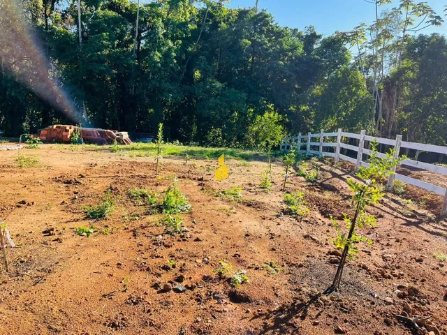 Imagem 13: Sítio à venda em Indaial