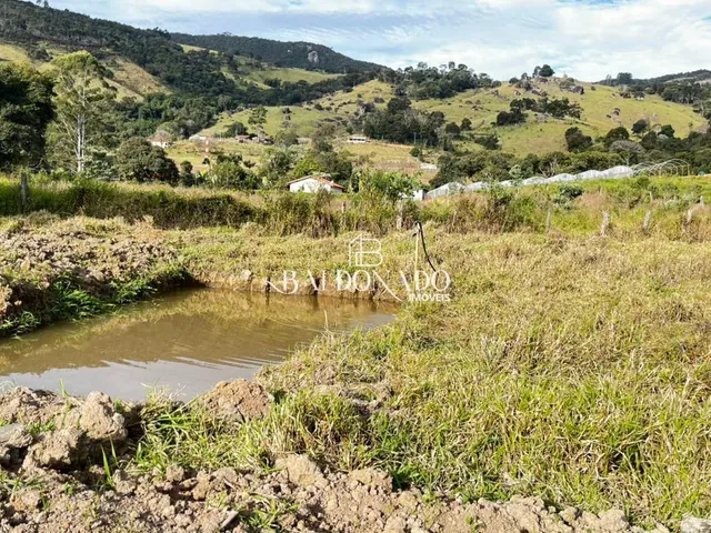 Imagem 3: TERRENO EM TOLEDO MG 1000 METROS 3,5 KM DA CIDADE RICO EM AGUA