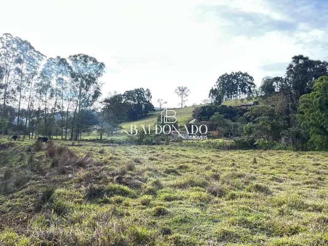 Imagem 4: TERRENO EM TOLEDO MG 1000 METROS 3,5 KM DA CIDADE RICO EM AGUA