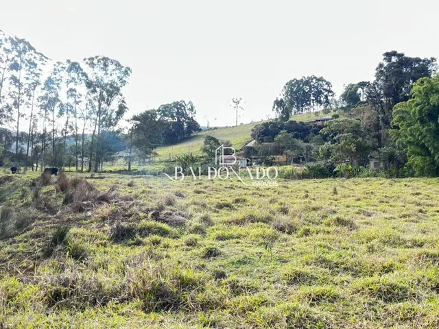 Imagem 5: TERRENO EM TOLEDO MG 1000 METROS 3,5 KM DA CIDADE RICO EM AGUA