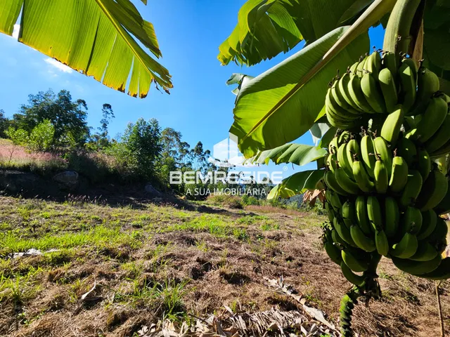 Imagem 8: Terreno rural com 2 hectares e energia elétrica ligada em Treze de Maio