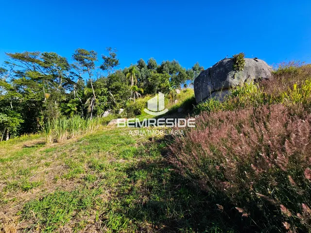 Imagem 9: Terreno rural com 2 hectares e energia elétrica ligada em Treze de Maio