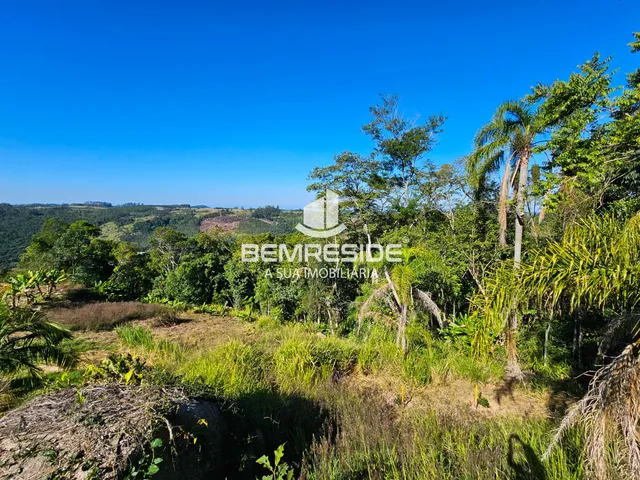 Imagem 11: Terreno rural com 2 hectares e energia elétrica ligada em Treze de Maio
