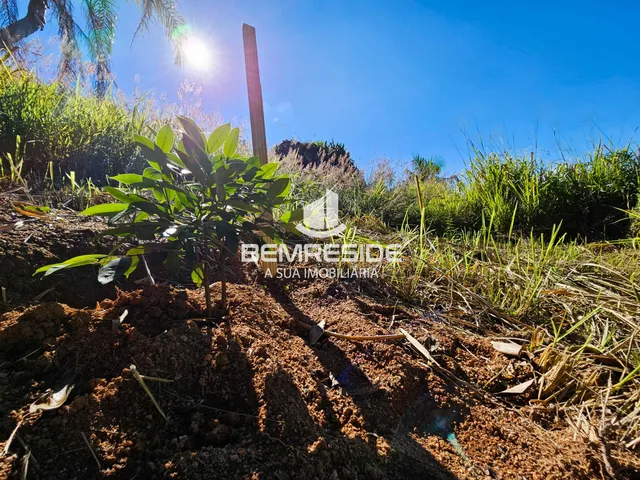 Imagem 12: Terreno rural com 2 hectares e energia elétrica ligada em Treze de Maio