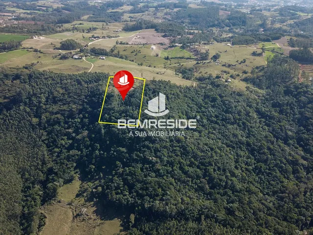 Imagem 16: Terreno rural com 2 hectares e energia elétrica ligada em Treze de Maio