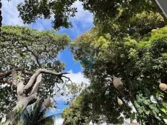 Imagem 11: OPORTUNIDADE CASA EM PONTA NEGRA NATAL RN / CASA A VENDA EM PONTA NEGRA NATAL RN