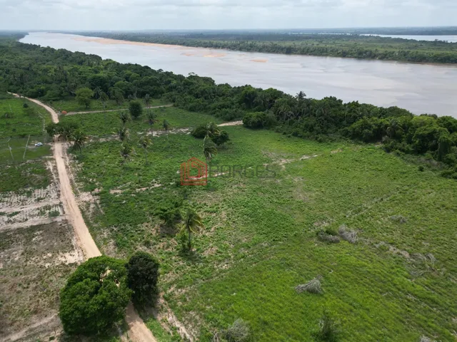 Imagem 8: Fazenda à venda VALLE DO ARAGUAIA II - Esperantina/TO