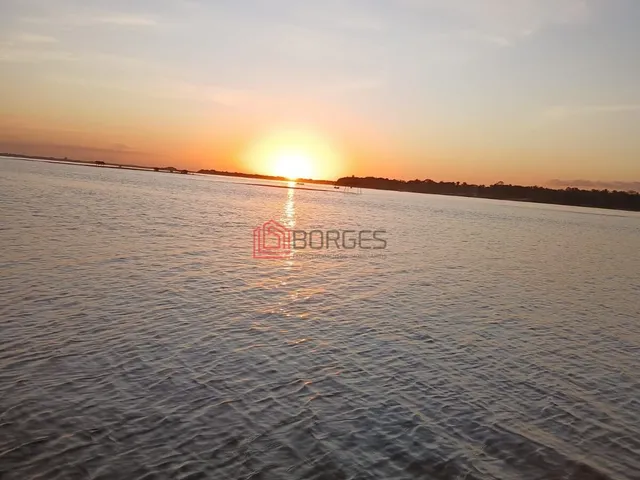 Imagem 5: Fazenda à venda VALLE DO ARAGUAIA II - Esperantina/TO