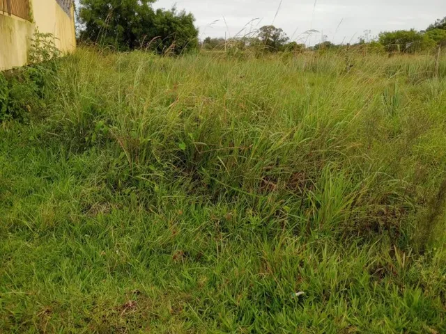Imagem: Terreno para Venda em Pelotas, Centro