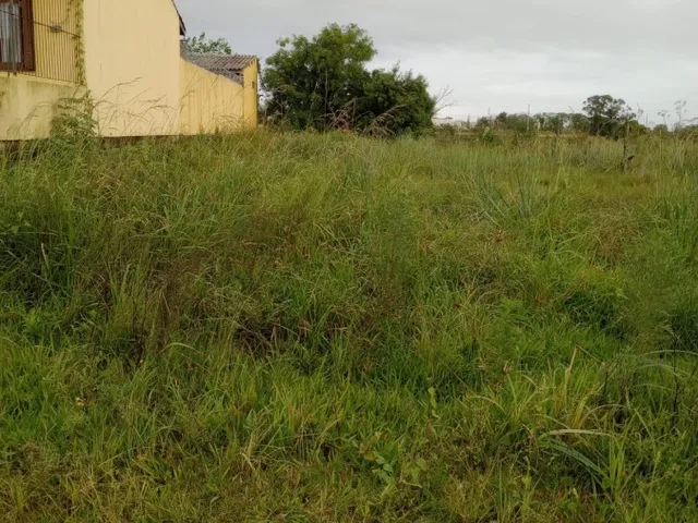 Imagem 2: Terreno para Venda em Pelotas, Centro