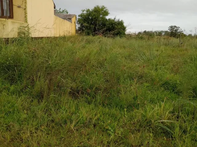 Imagem 3: Terreno para Venda em Pelotas, Centro