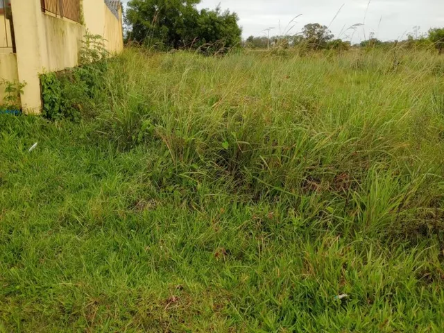 Imagem 4: Terreno para Venda em Pelotas, Centro