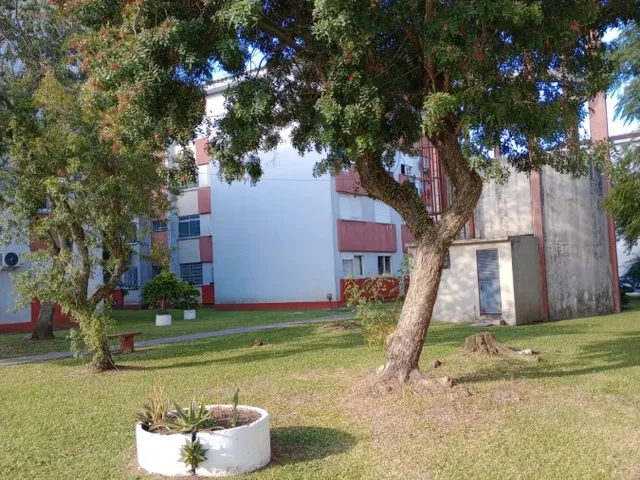 Imagem 8: Apartamento para Venda em Pelotas, Fragata, 2 dormitórios, 1 banheiro