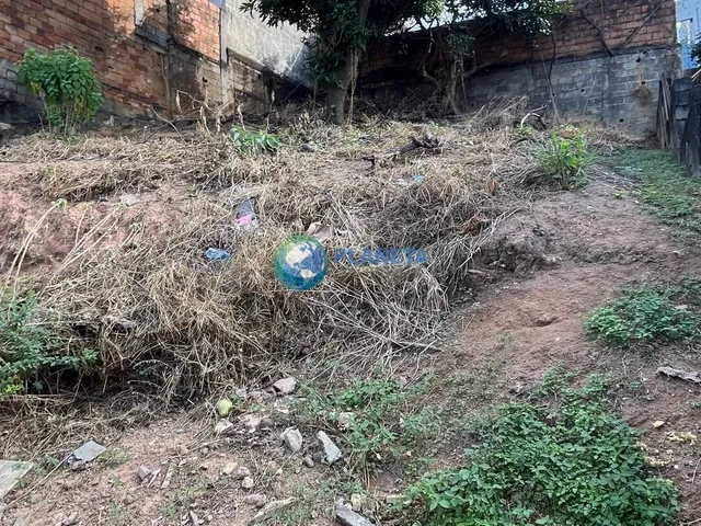 Imagem 11: Casa para reforma 3 Quartos lote 360m² - São Bernardo - BH