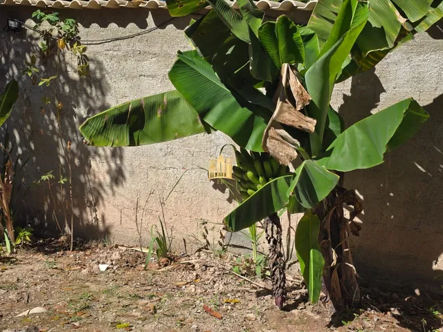 Imagem 6: CASA À VENDA BAIRRO POUSADA DO LAGO