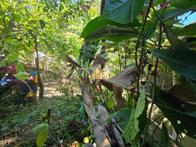 Imagem 3: CASA À VENDA BAIRRO POUSADA DO LAGO