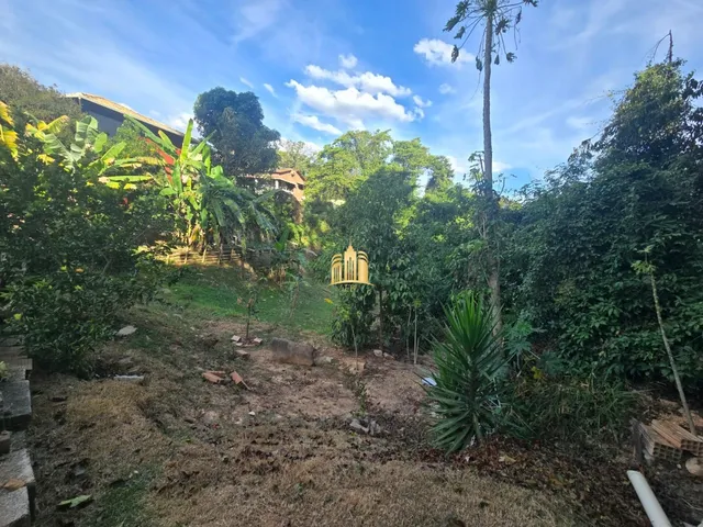 Imagem 12: SÍTIO À VENDA SOLAR DAS PALMEIRAS