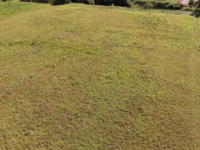 Imagem 8: Terreno Rural para Lavoura e Pastagem a Venda em Tijucas com Excelente Localização