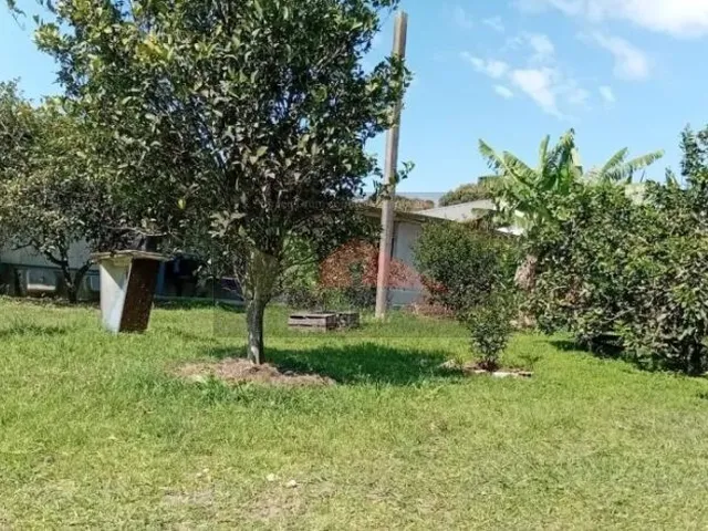 Imagem: Terreno no bairro do Ratones, Florianópolis/SC