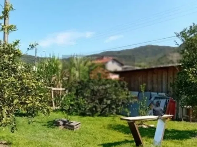 Imagem 3: Terreno no bairro do Ratones, Florianópolis/SC