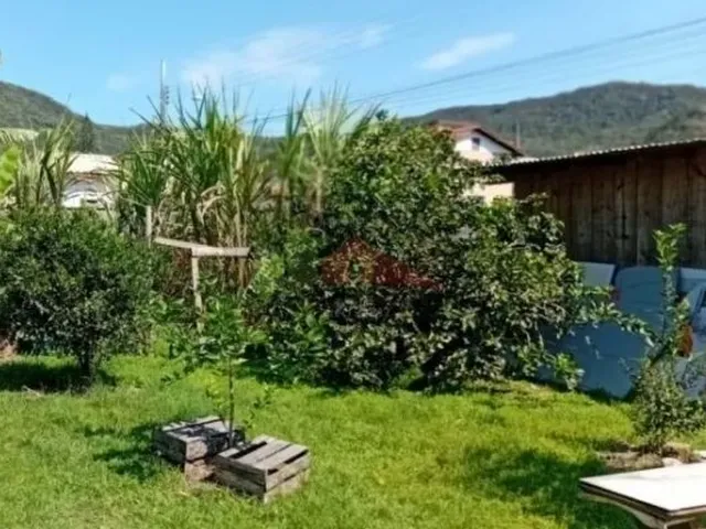 Imagem 5: Terreno no bairro do Ratones, Florianópolis/SC