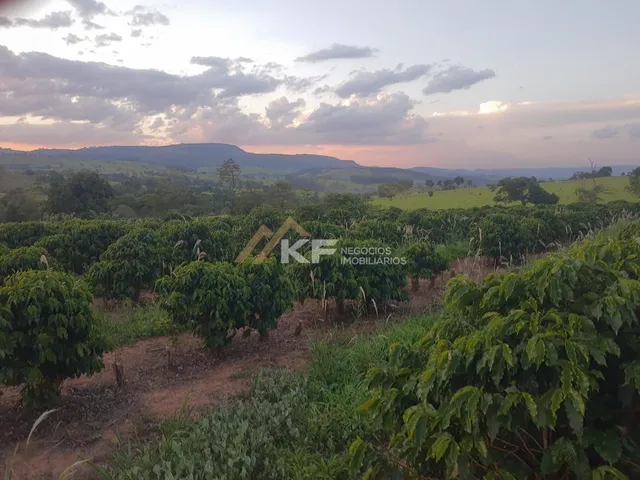 Imagem 12: Sítio com Lavoura de café em Cassia/MG