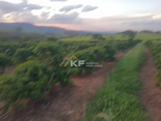 Imagem 13: Sítio com Lavoura de café em Cassia/MG