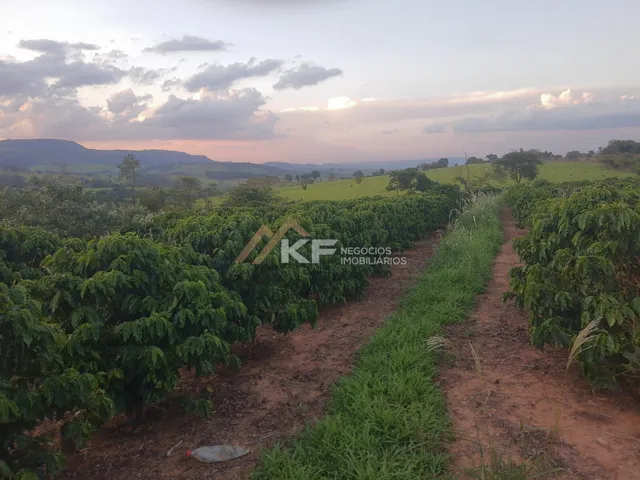 Imagem 4: Sítio com Lavoura de café em Cassia/MG