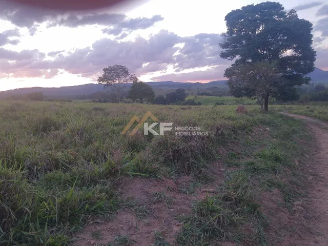 Imagem 7: Sítio com Lavoura de café em Cassia/MG