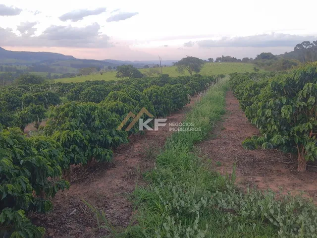 Imagem 9: Sítio com Lavoura de café em Cassia/MG