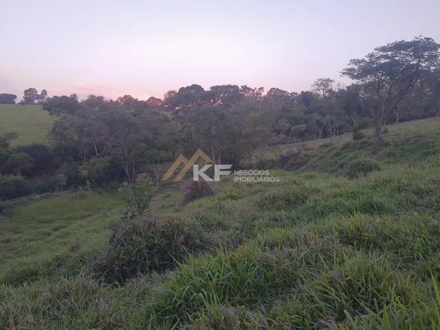 Imagem 3: Sítio com Lavoura de café em Cassia/MG