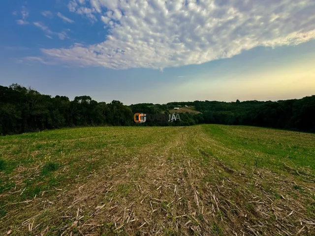 Imagem: TERRENO COLÔNIA BALBINO CUNHA - CAMPINA