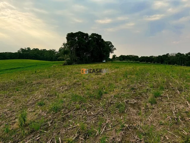 Imagem 3: TERRENO COLÔNIA BALBINO CUNHA - CAMPINA