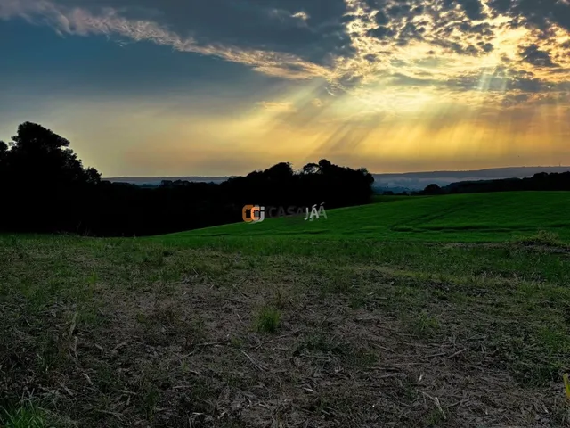 Imagem 7: TERRENO COLÔNIA BALBINO CUNHA - CAMPINA