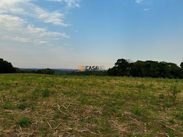 Imagem 4: TERRENO COLÔNIA BALBINO CUNHA - CAMPINA