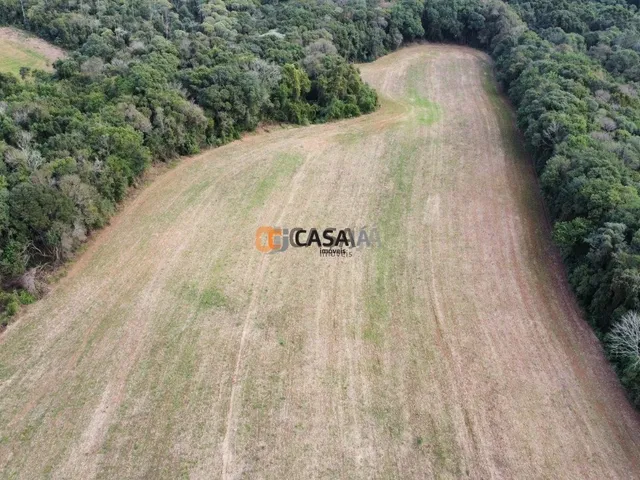 Imagem 5: TERRENO COLÔNIA BALBINO CUNHA - CAMPINA