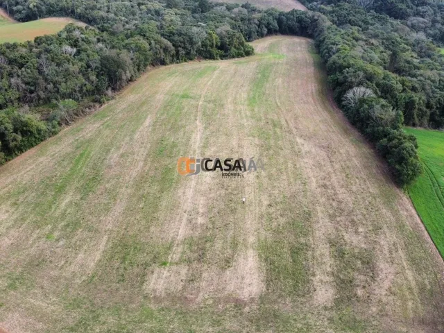 Imagem 2: TERRENO COLÔNIA BALBINO CUNHA - CAMPINA