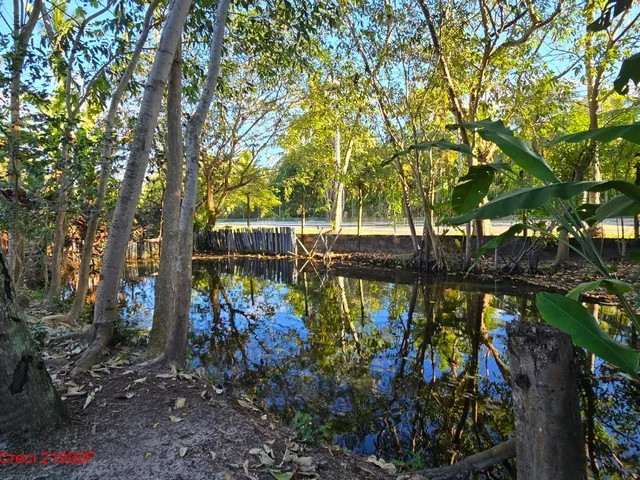 Imagem 4: Excelente casa Duplex 5 suítes, terreno amplo com lagoa, Busca Vida, Camaçari, BA